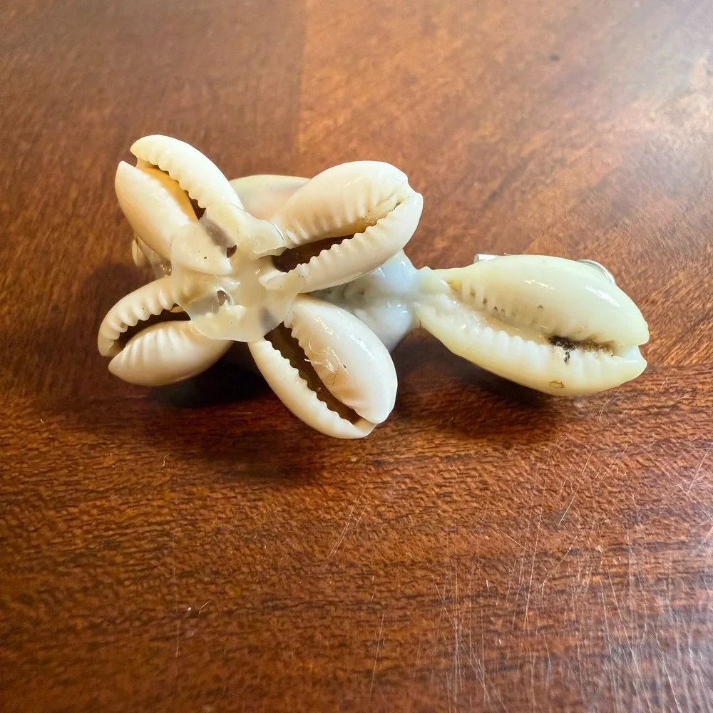 Seashell‎ Turtle Miniature Wearing Glasses Figurine Real Shell
